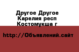 Другое Другое. Карелия респ.,Костомукша г.